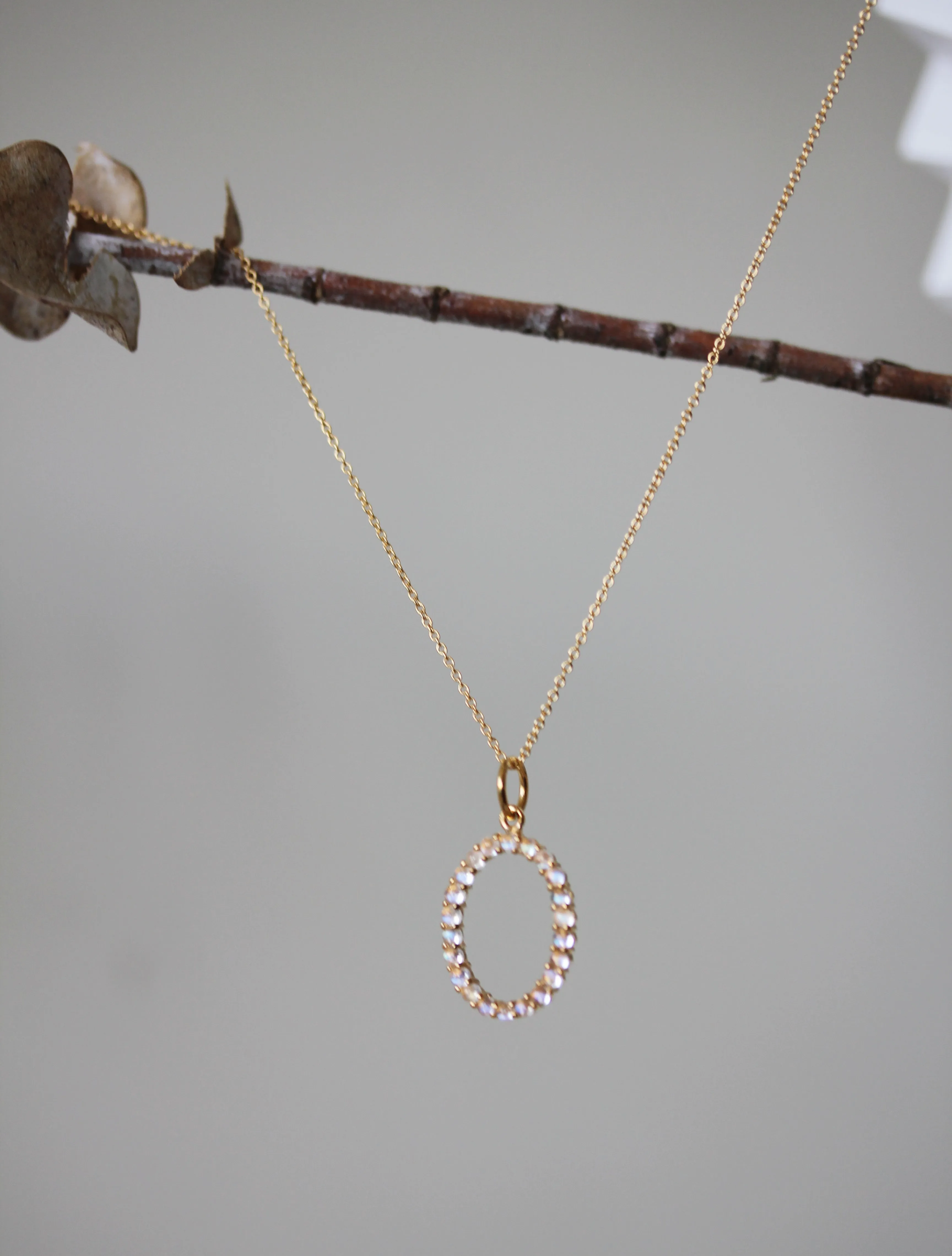 Encircled Necklace