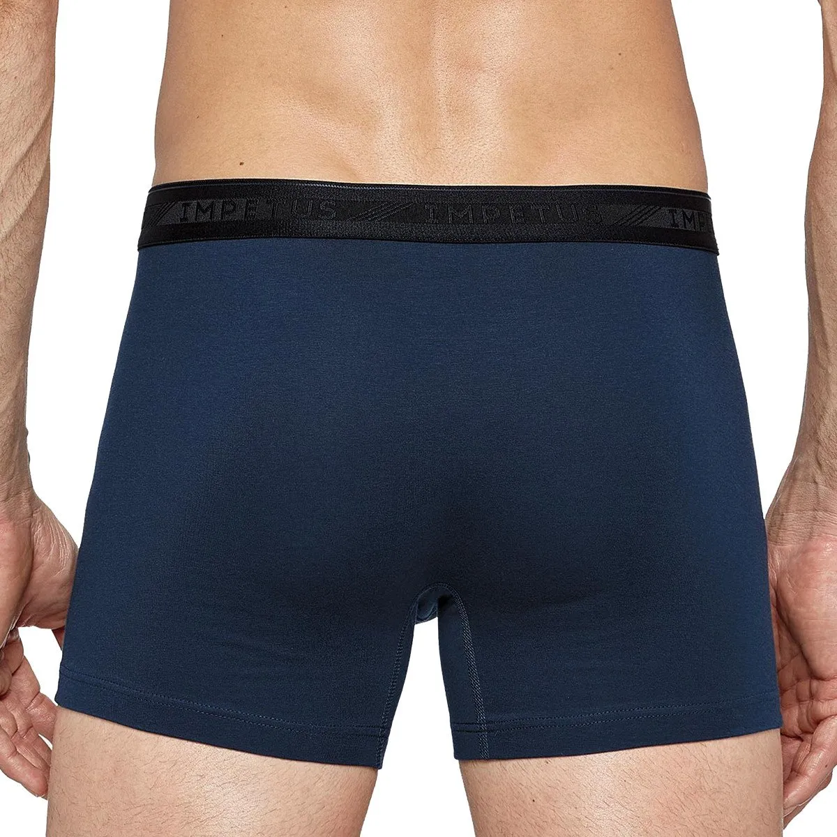 Pack de 2 boxers coton uni imprimé homme ceinture plate Azurite Impetus